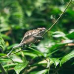 儿子的好大 w7r38sec